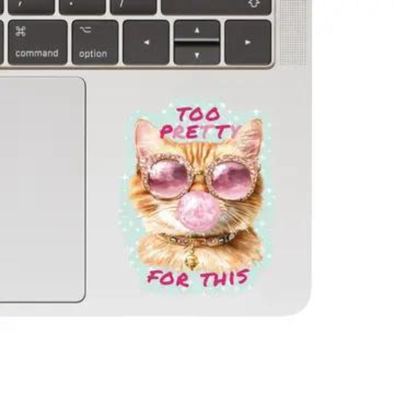 Juju and Moxie Too Pretty For This Cat Funny High Quality Vinyl Sticker