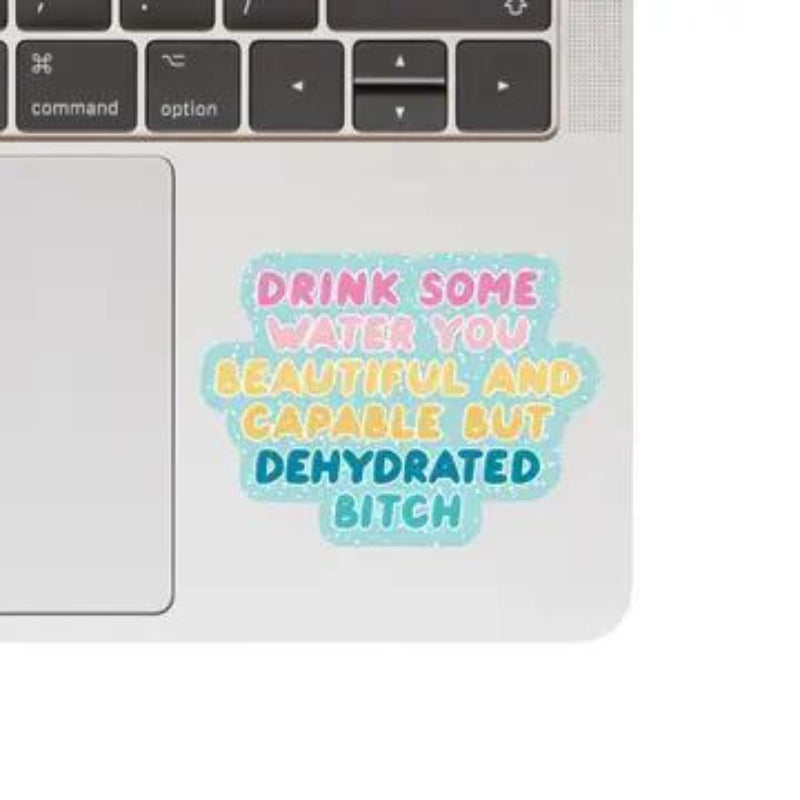 Juju and Moxie Water Bitch Funny Swear High Quality Vinyl Sticker