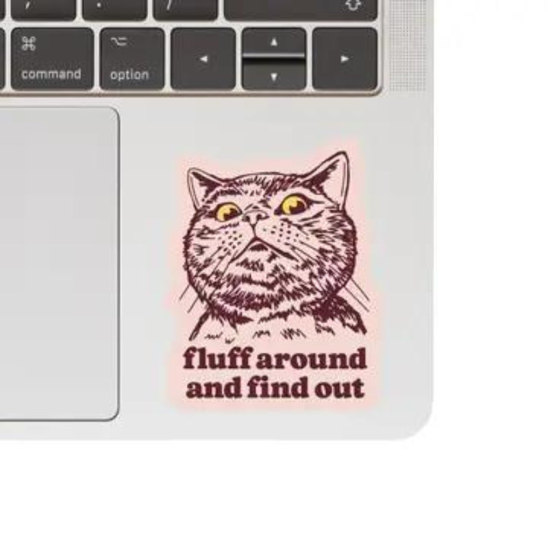 Juju and Moxie Funny Kitty Cat Swear Humor High Quality Vinyl Sticker