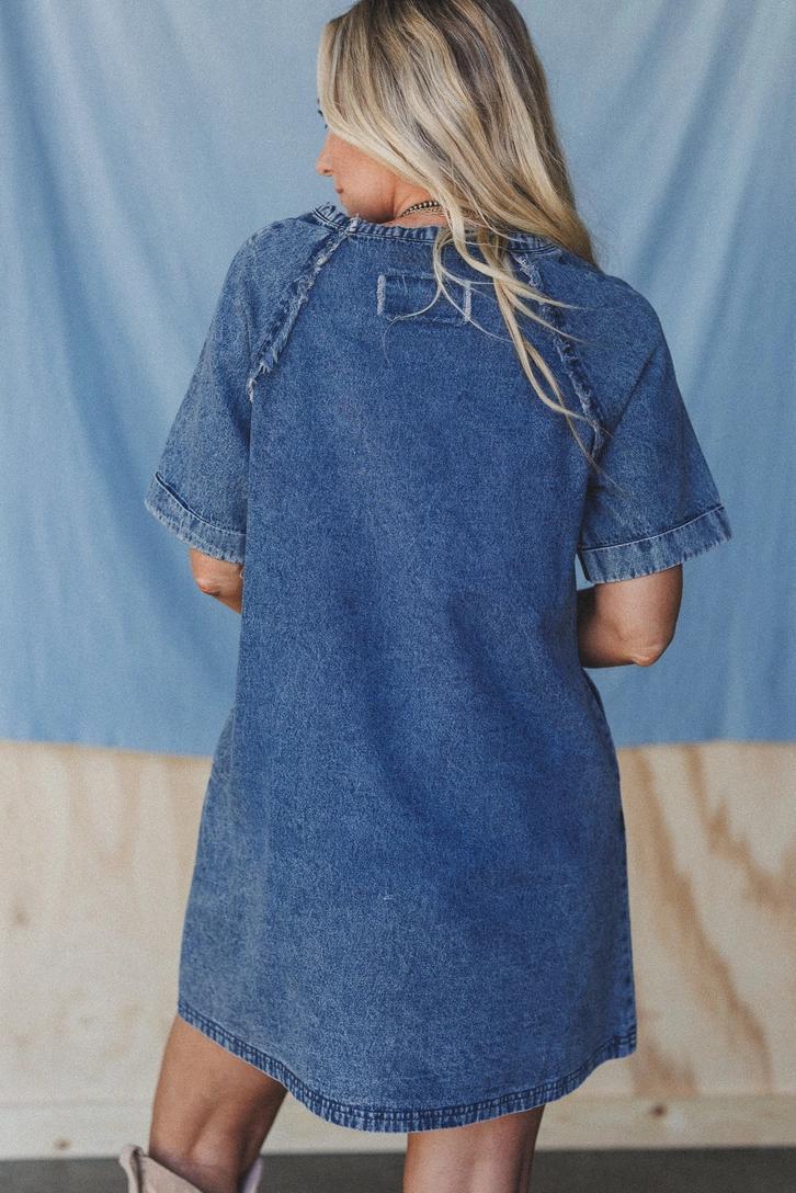 Three Bird Nest Pocket Dress – Blue