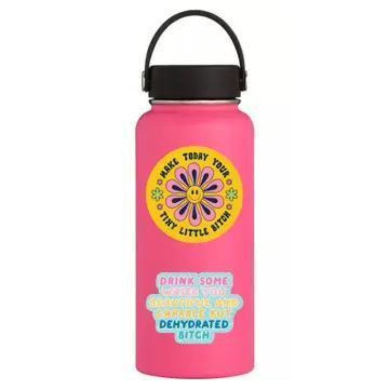 Juju and Moxie Water Bitch Funny Swear High Quality Vinyl Sticker