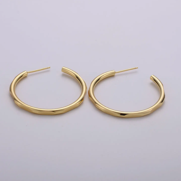Earrings (Aim Eternal)