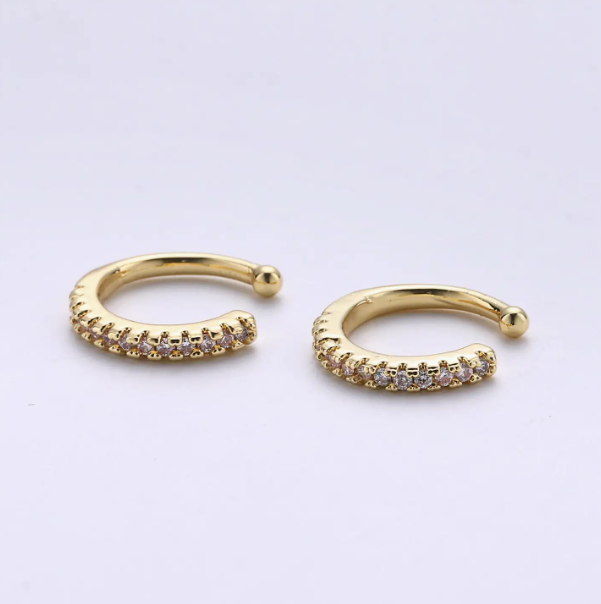 Earrings (Aim Eternal)