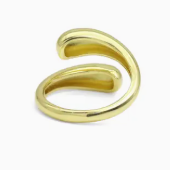 Earrings (BB&B)