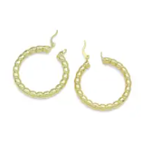 Earrings (BB&B)