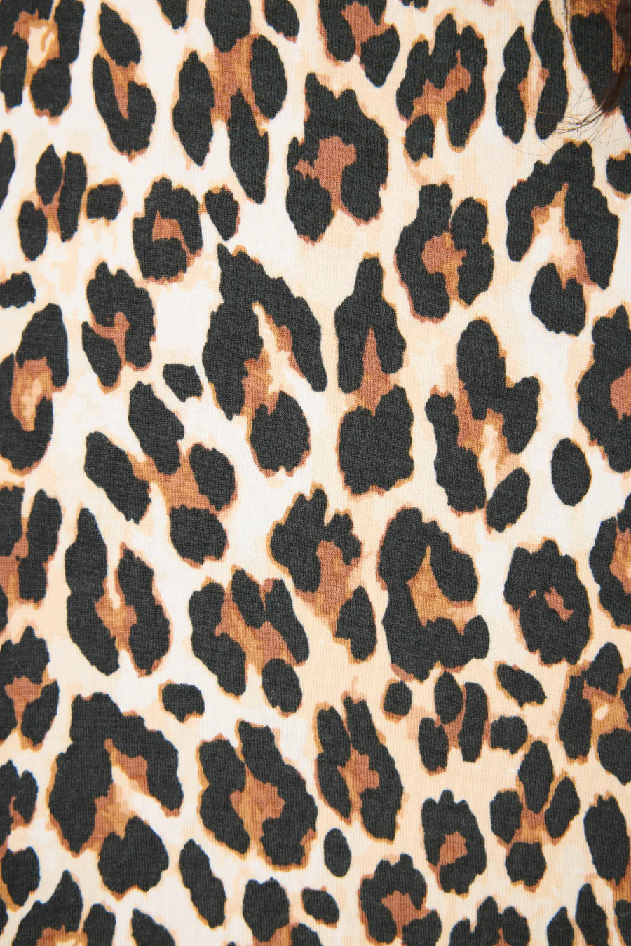 Holiday Dreams Leopard Print Shorts